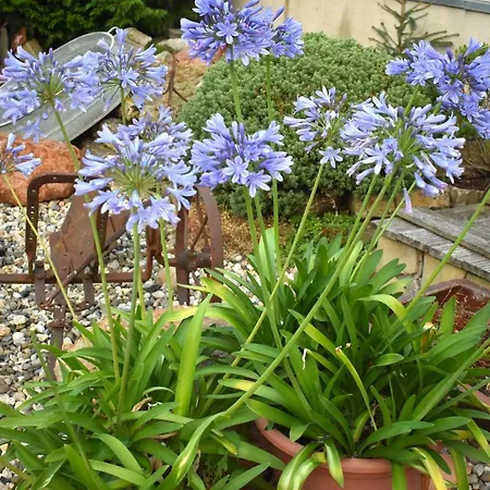 Harzvorland Апартаменты Балленштедт